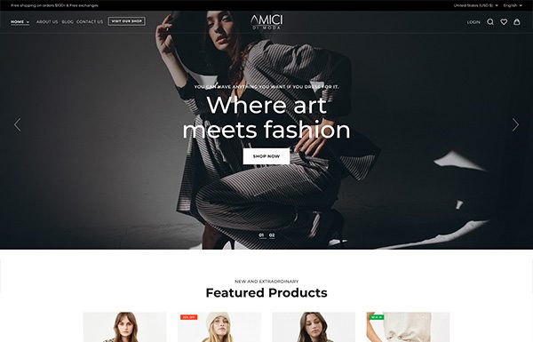 AMICI - WEB DESIGN